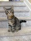 Thumper - Photo 1