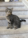 Thumper - Photo 3