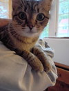Geena