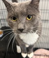 Albus - Must Apply in Person