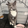 Albus  - Must Apply in Person
