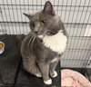 Albus  - Must Apply in Person