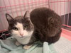 Adelina - Must Apply in Person