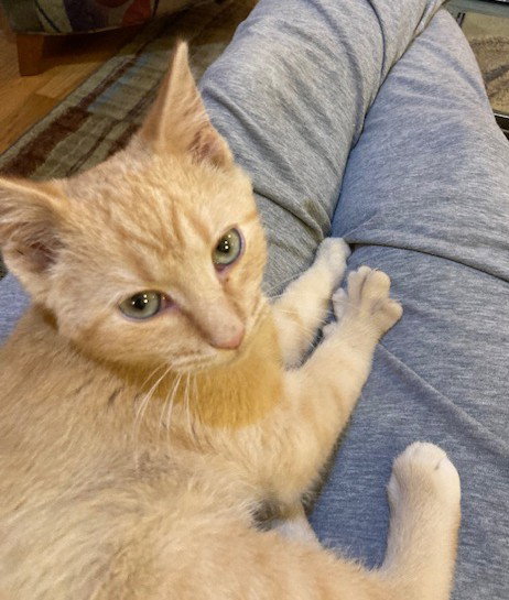 Julius