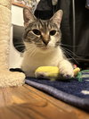 Ramona