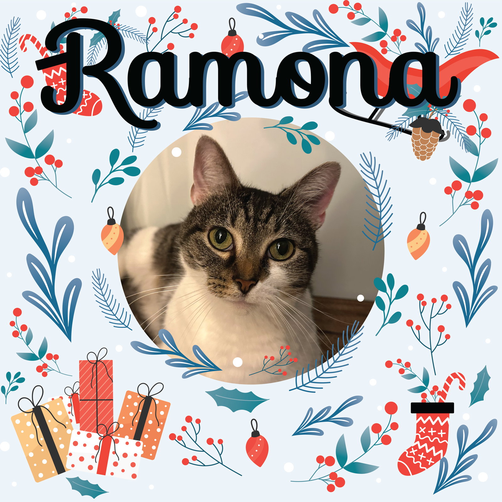 Ramona- Must Apply In Person Image