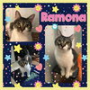 Ramona