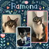 Ramona