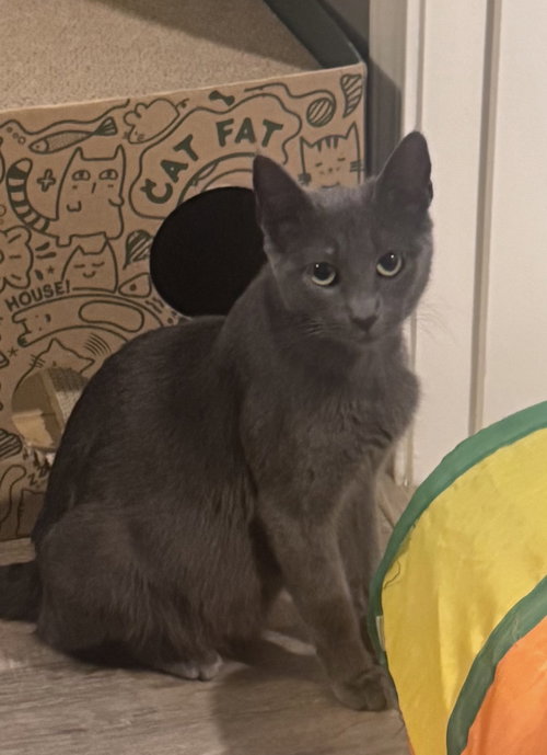 Margo   - Must Apply in Person