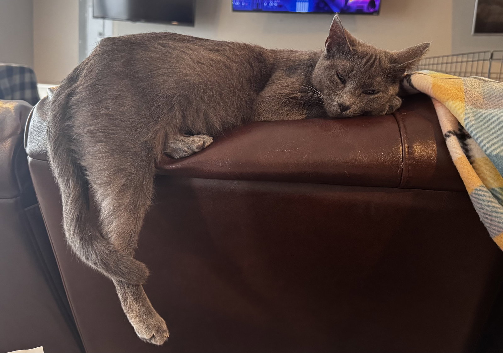 Margo Image
