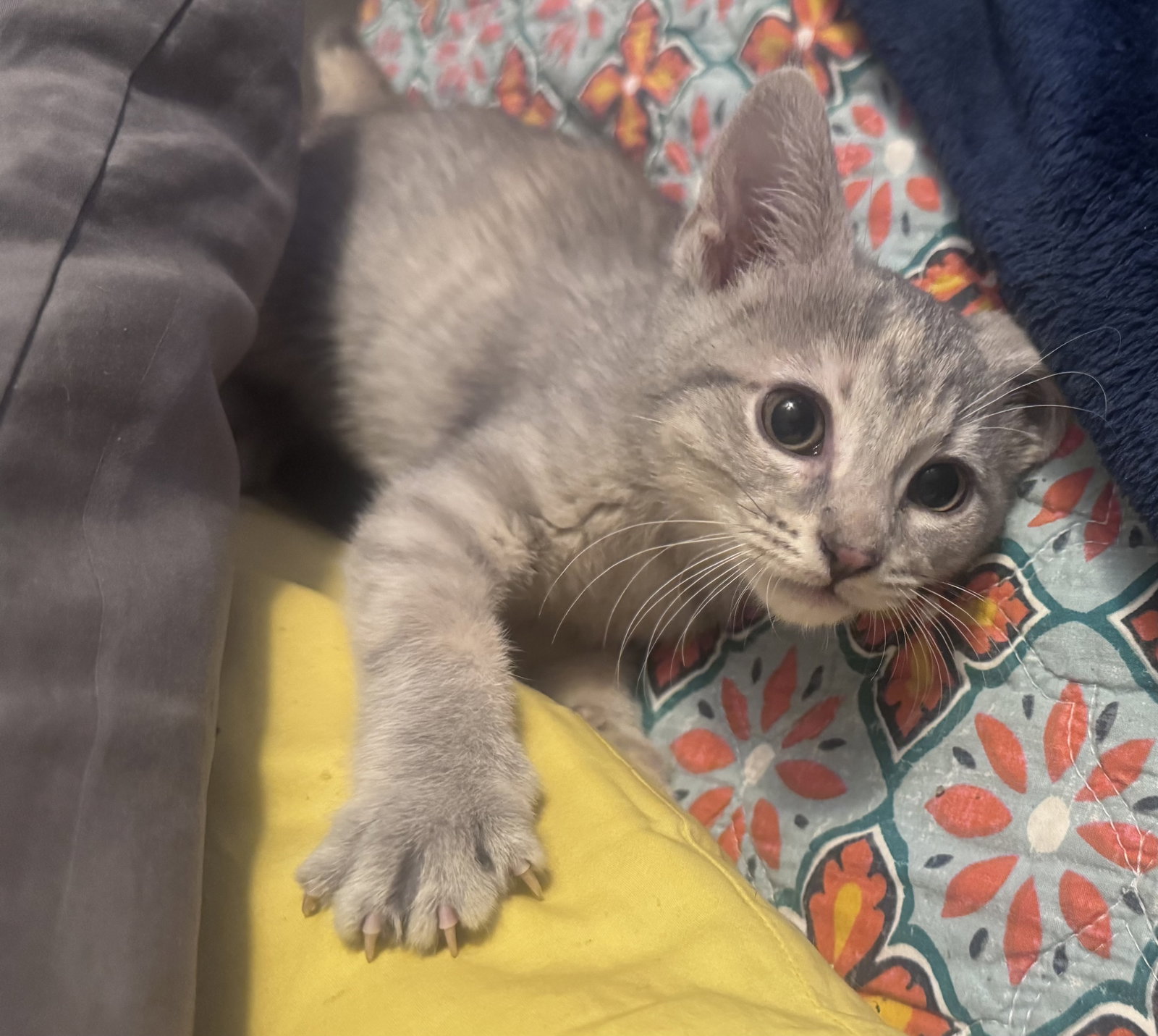 Margie Image