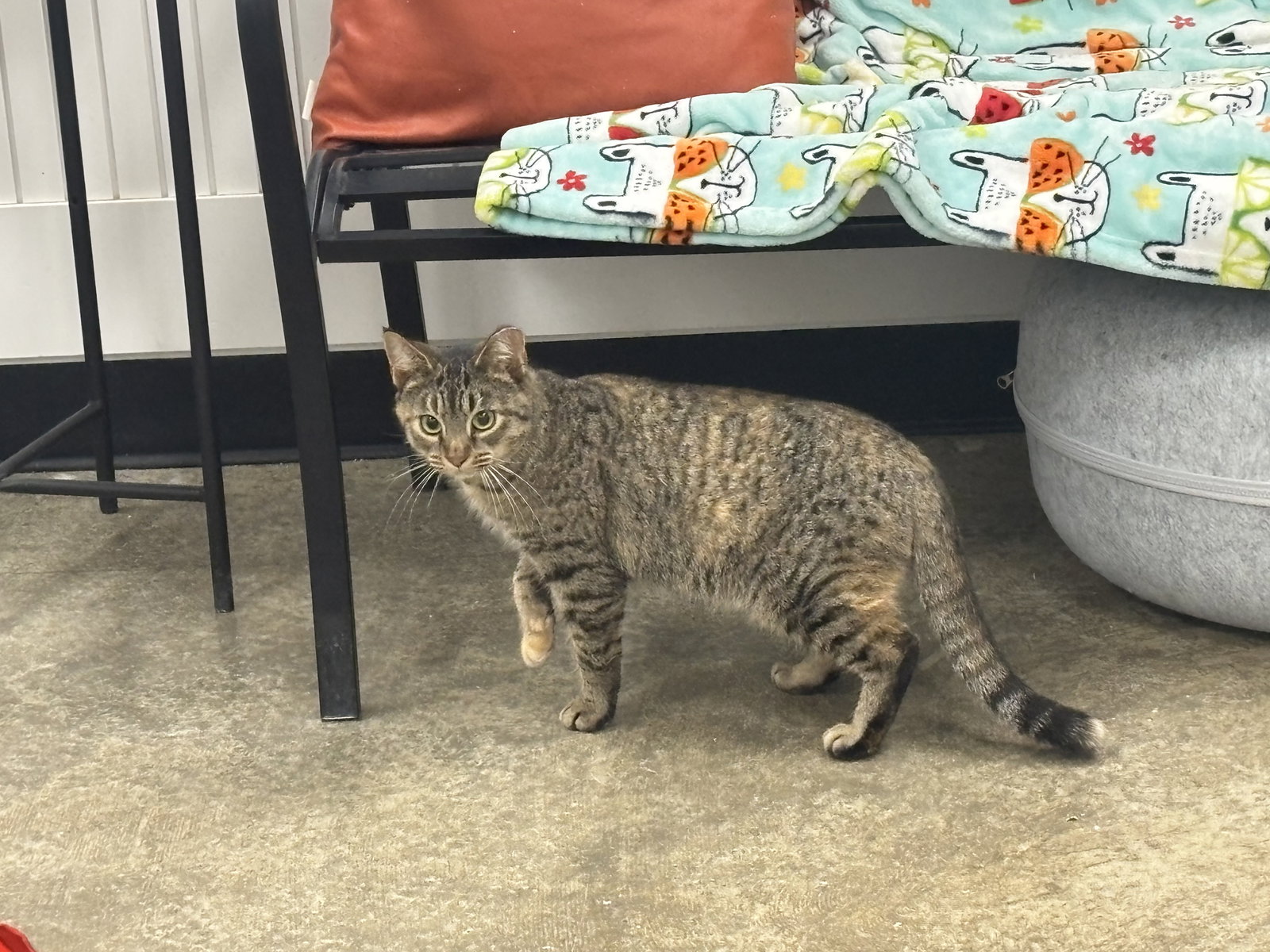KeyKey - Must Apply in Person Image