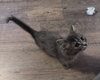 Prue