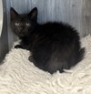 Burt - Photo 1