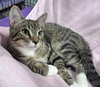 Ernie - Photo 1