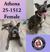 Athena
