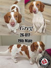 Greg