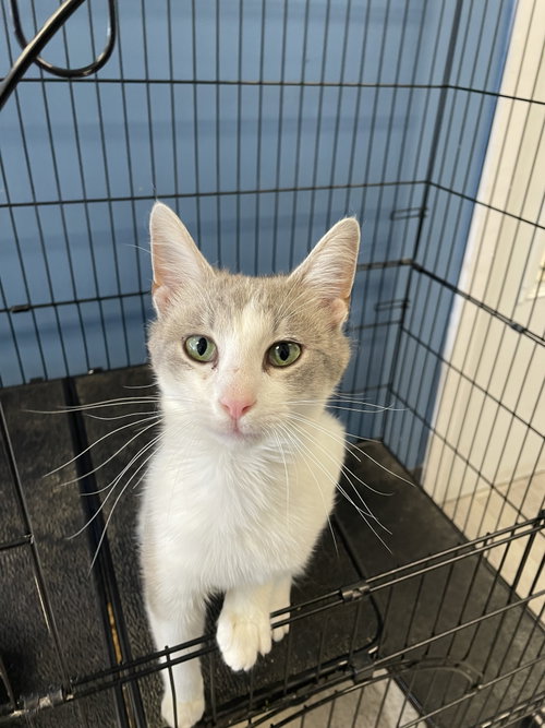 Finley- Must Apply in Person !