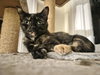 Alice - Must Apply in Person!
