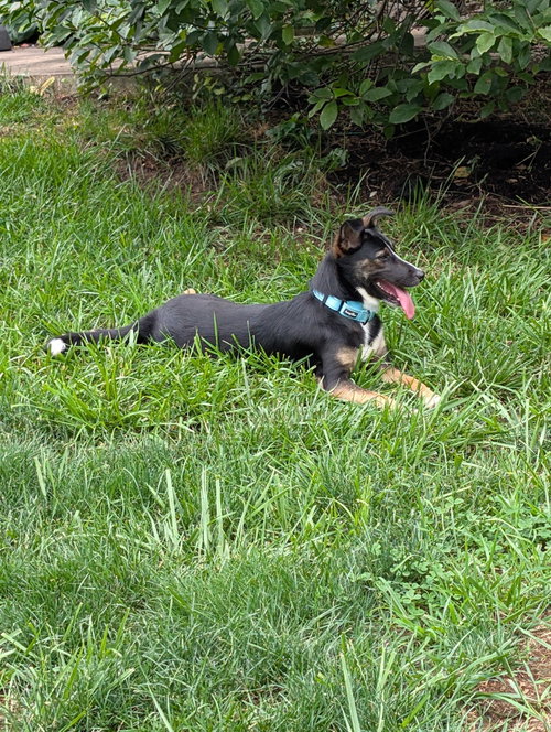 Evie photo 4