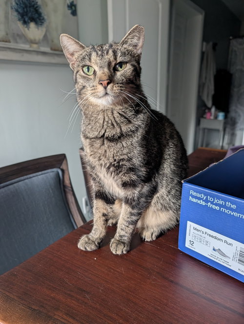 Dolly Purrton photo 3
