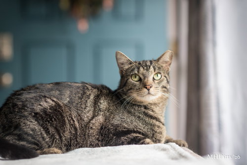 Dolly Purrton photo 2