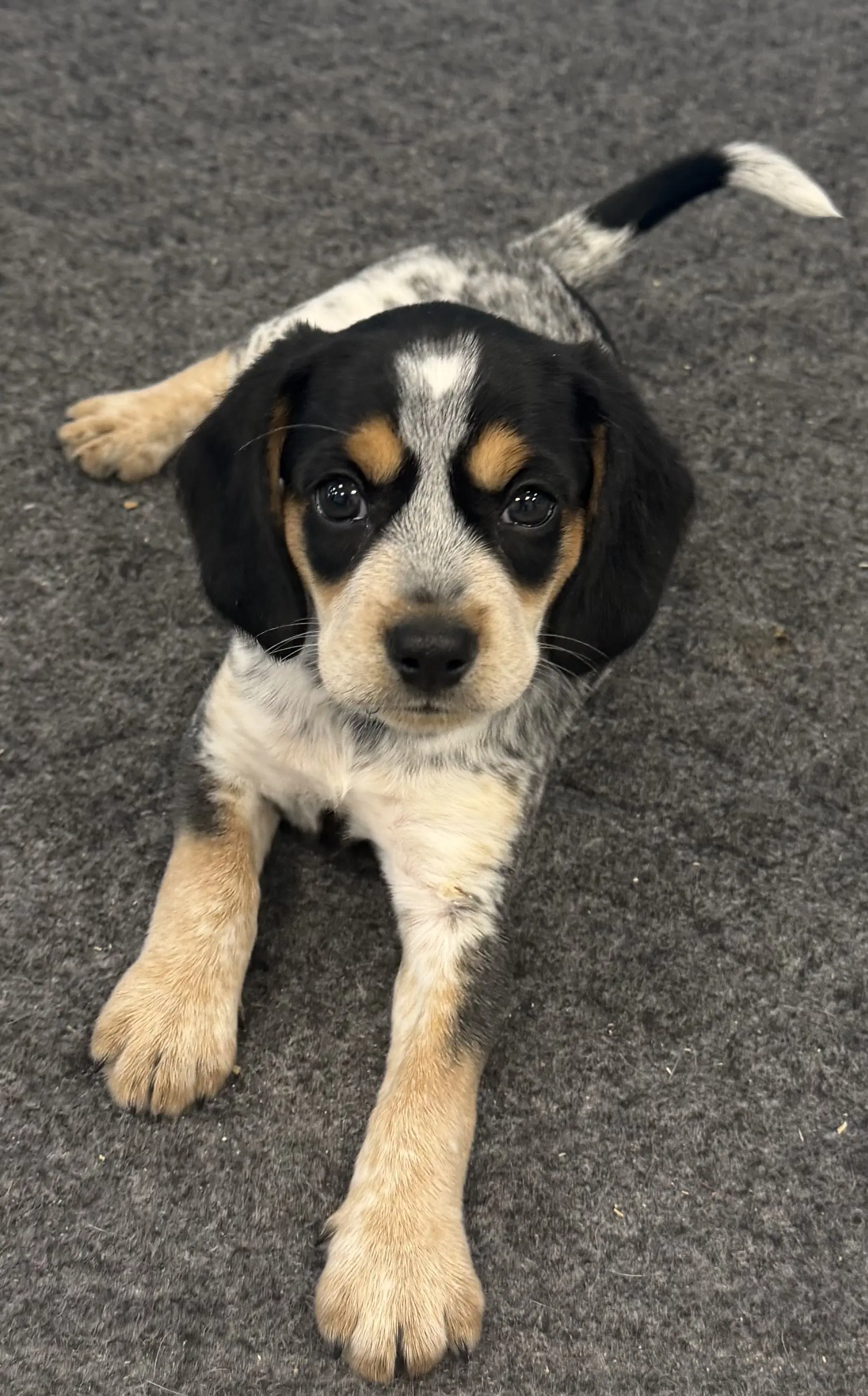 Evelyn image 1