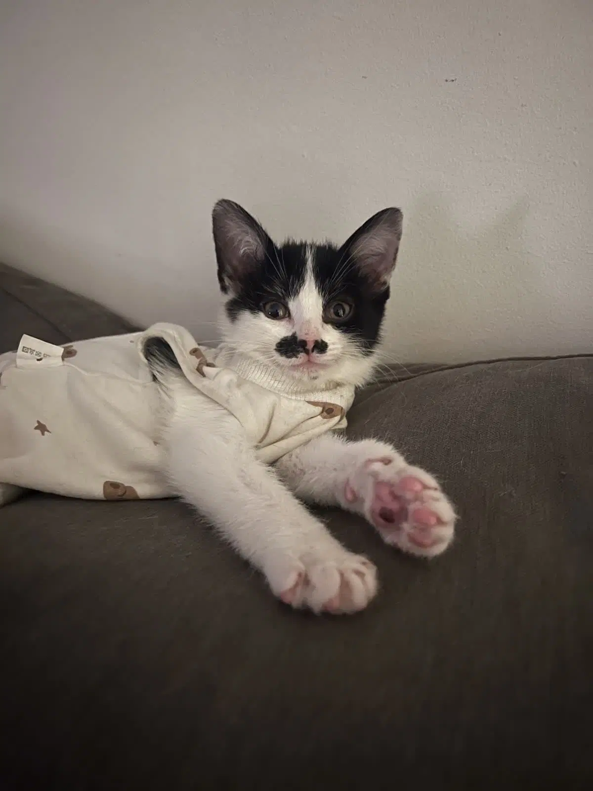 Ella Langley - Tuxedo