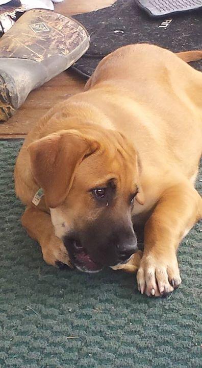 Ellie