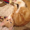 Shiloh
