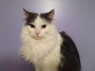 Fiona