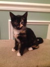 Cleo