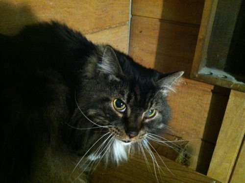 Rex- URGENT Please help!