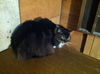 Rex- URGENT Please help!