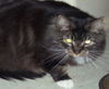 Rex- URGENT Please help!