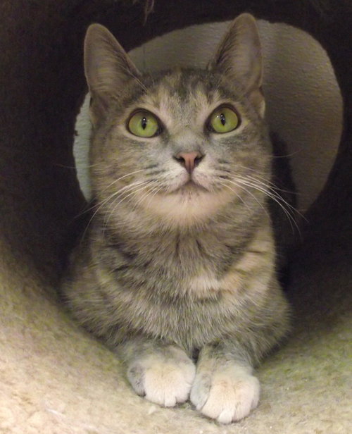 Juno
