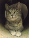 Juno