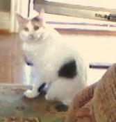 Abby