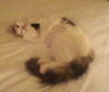 Abby