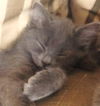 Fenway and Wrigley- special fee!!!