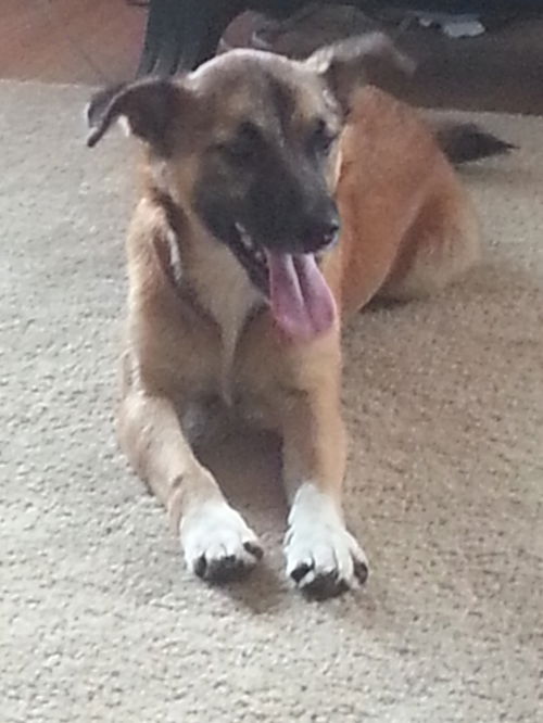 Tucker