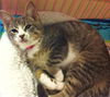 Laverne
