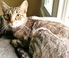 Eleanor