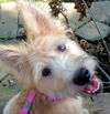 Tilly
