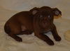 Samson