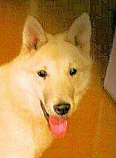 Starsky