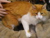 Solomon