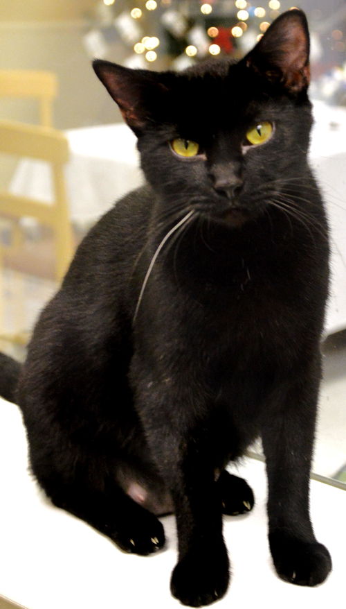 Salem