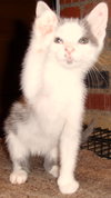 Fred