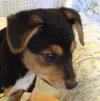 Molly